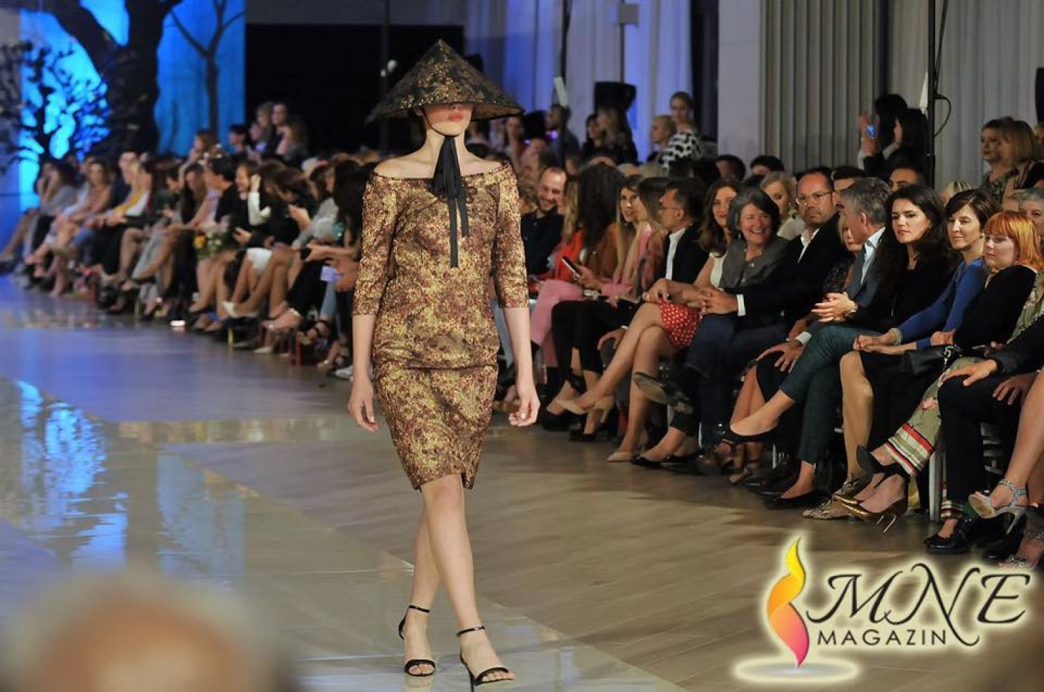 Univerzitet Crne Gore