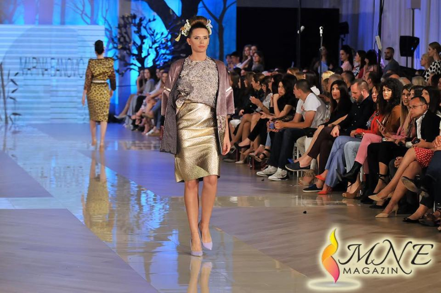 Univerzitet Crne Gore