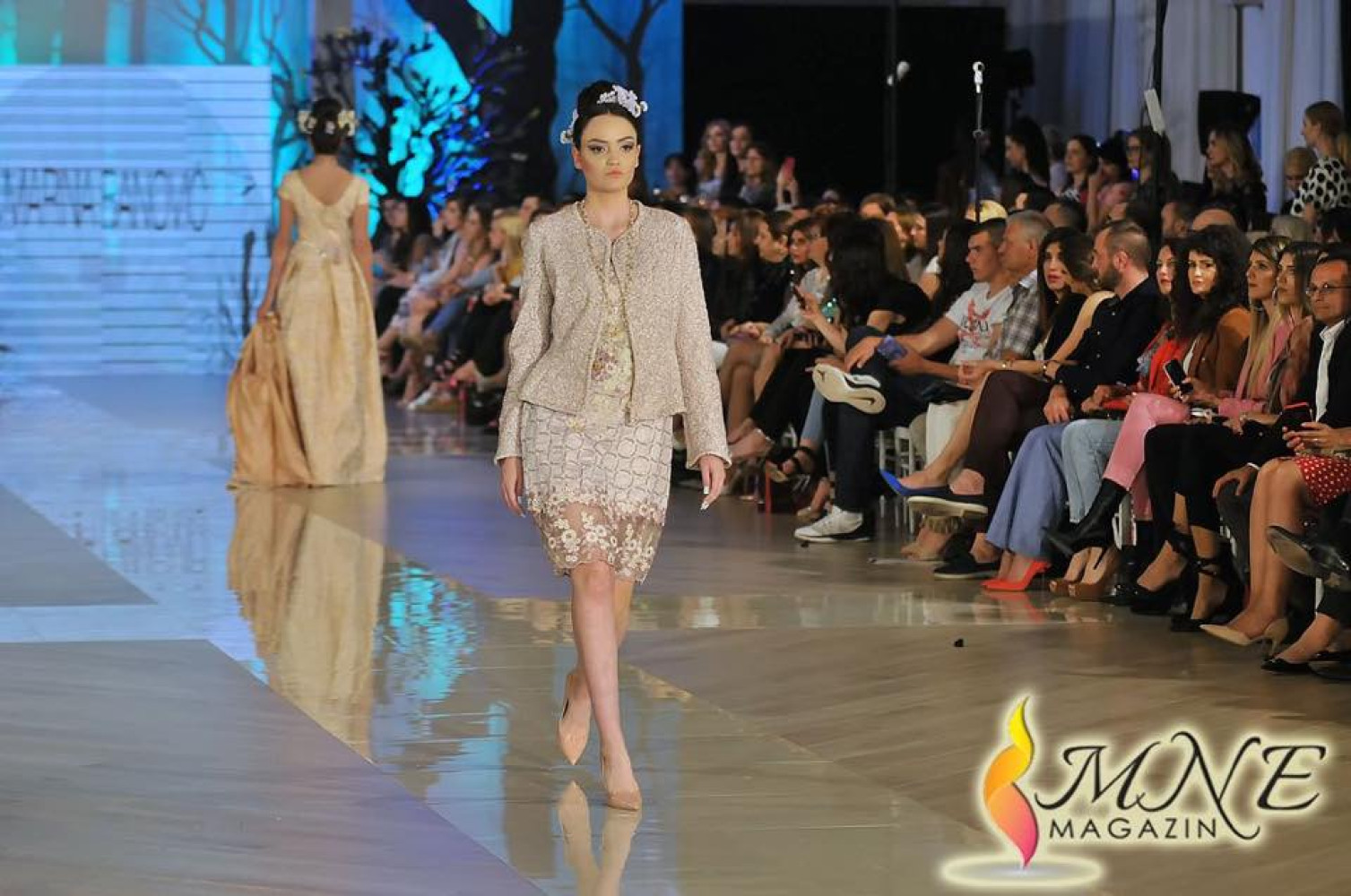 Univerzitet Crne Gore