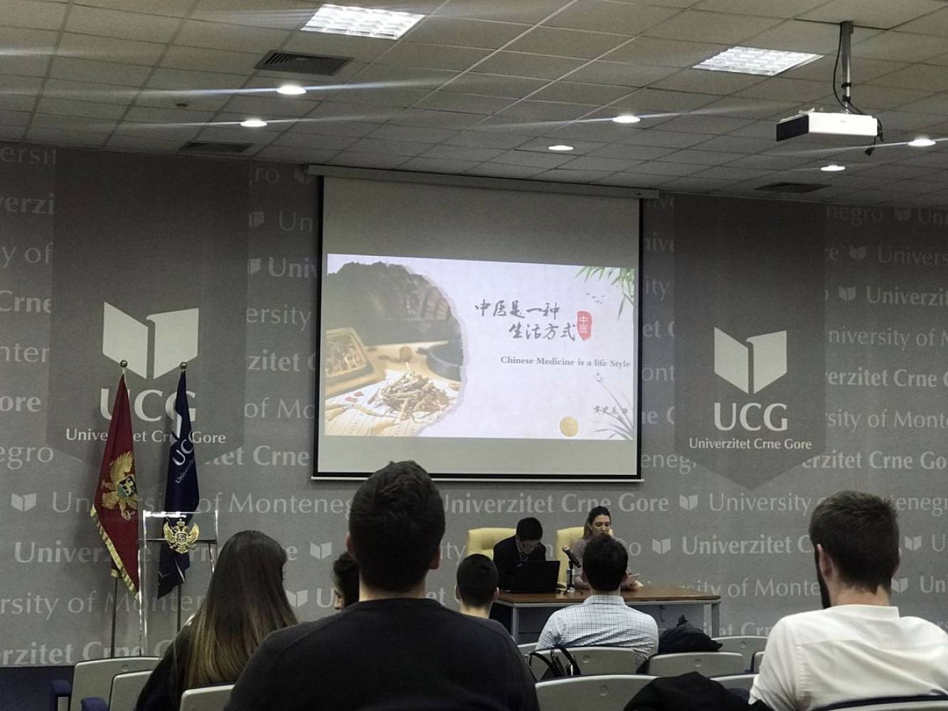 Univerzitet Crne Gore