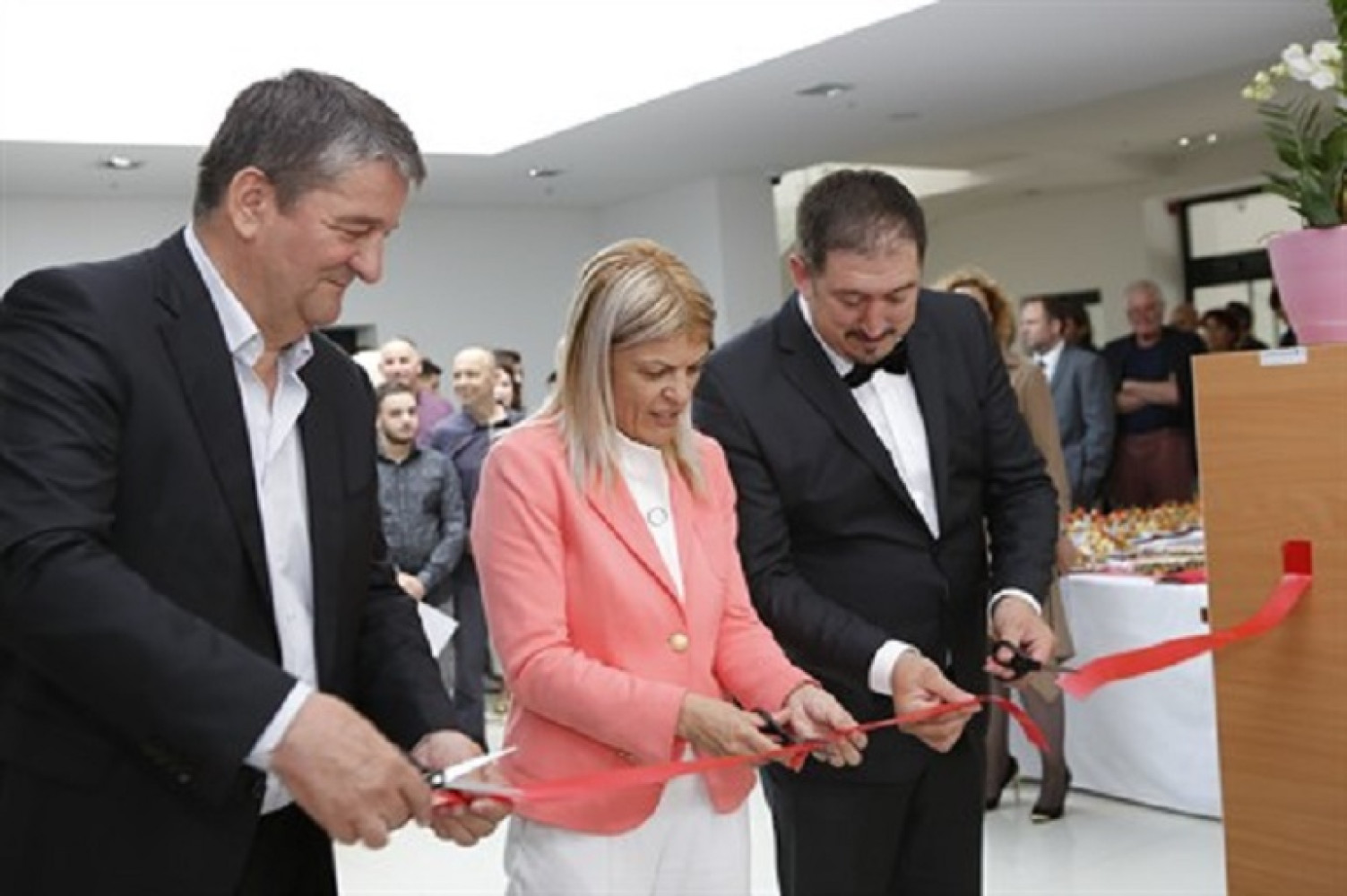 Univerzitet Crne Gore