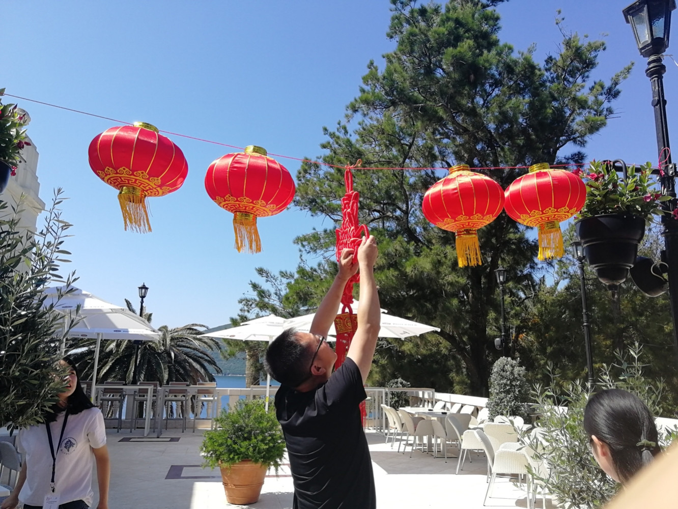 Univerzitet Crne Gore