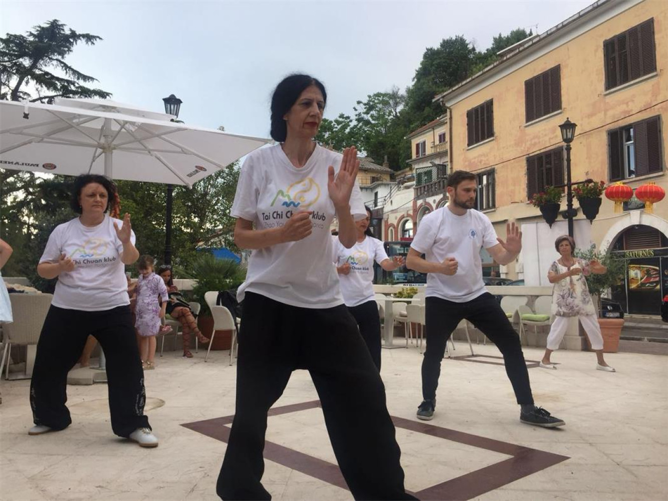 Univerzitet Crne Gore