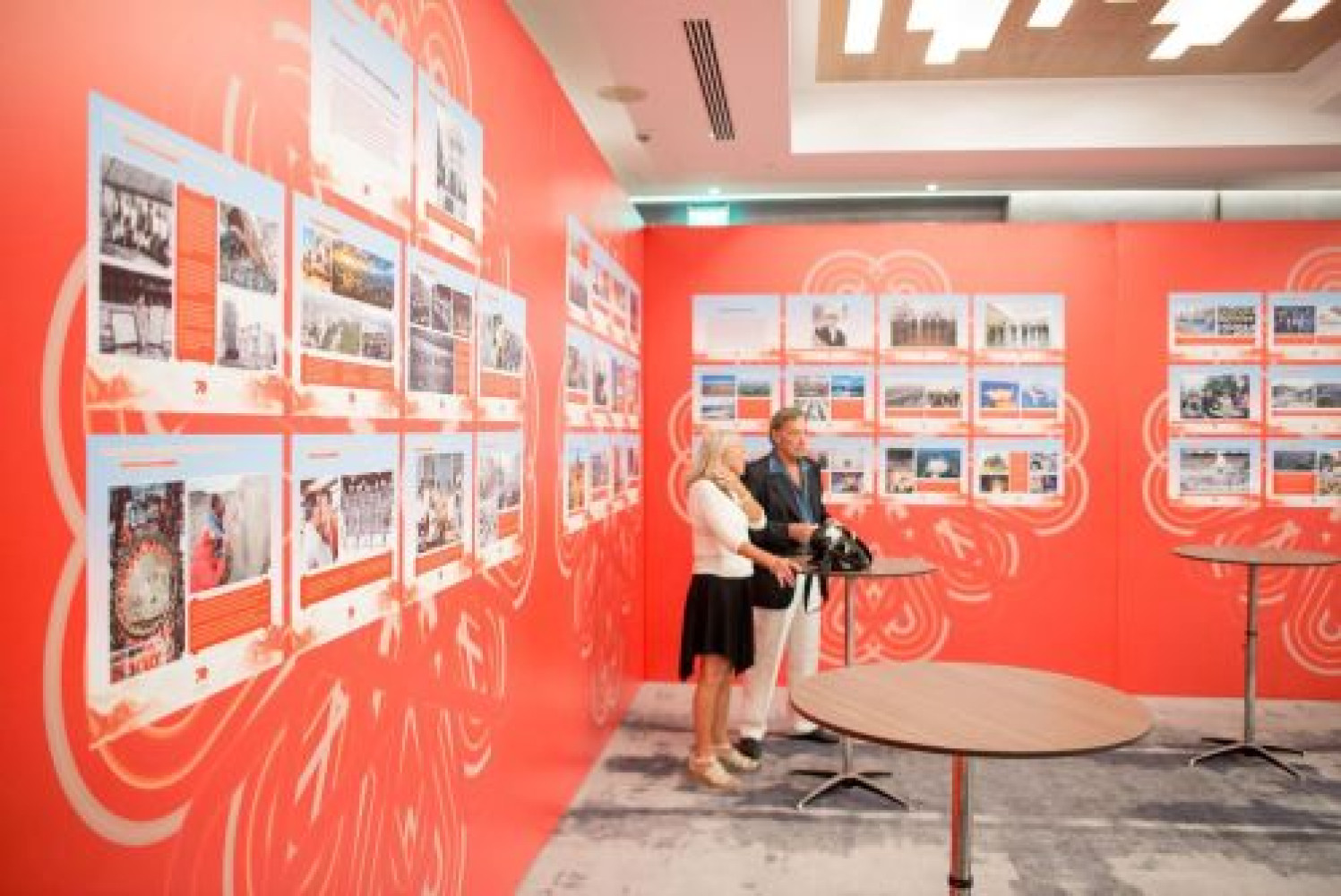 Univerzitet Crne Gore