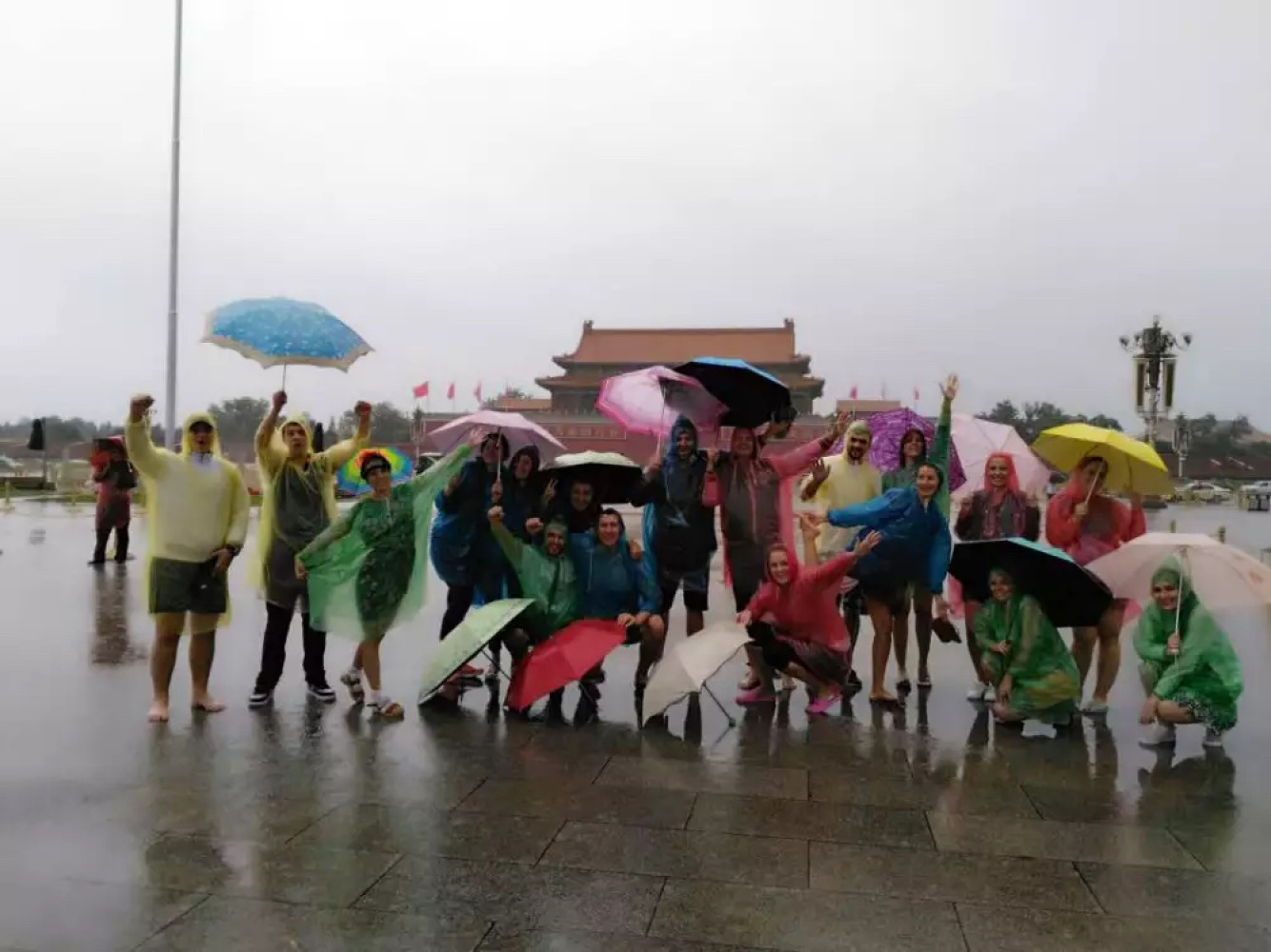 Univerzitet Crne Gore