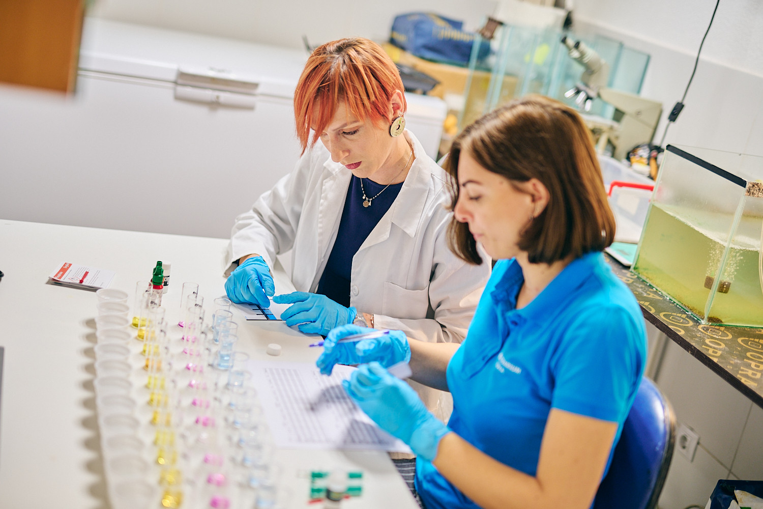 Univerzitet Crne Gore