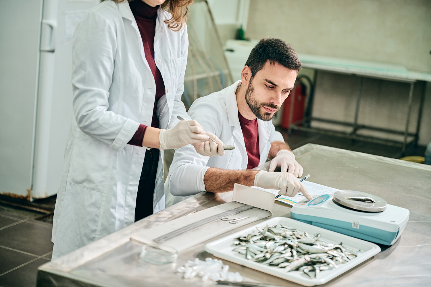 Univerzitet Crne Gore