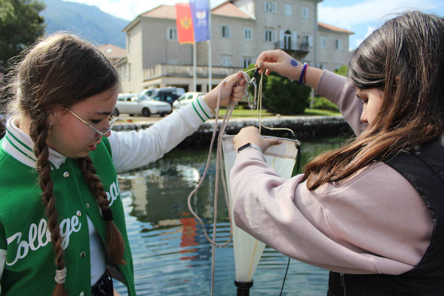 Univerzitet Crne Gore