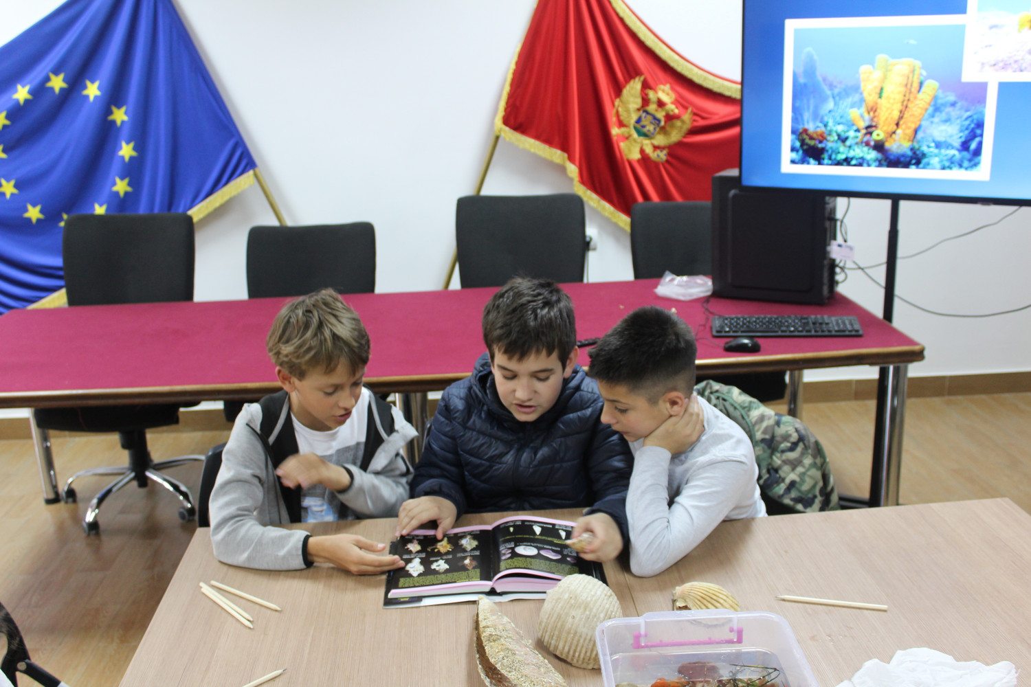 Univerzitet Crne Gore