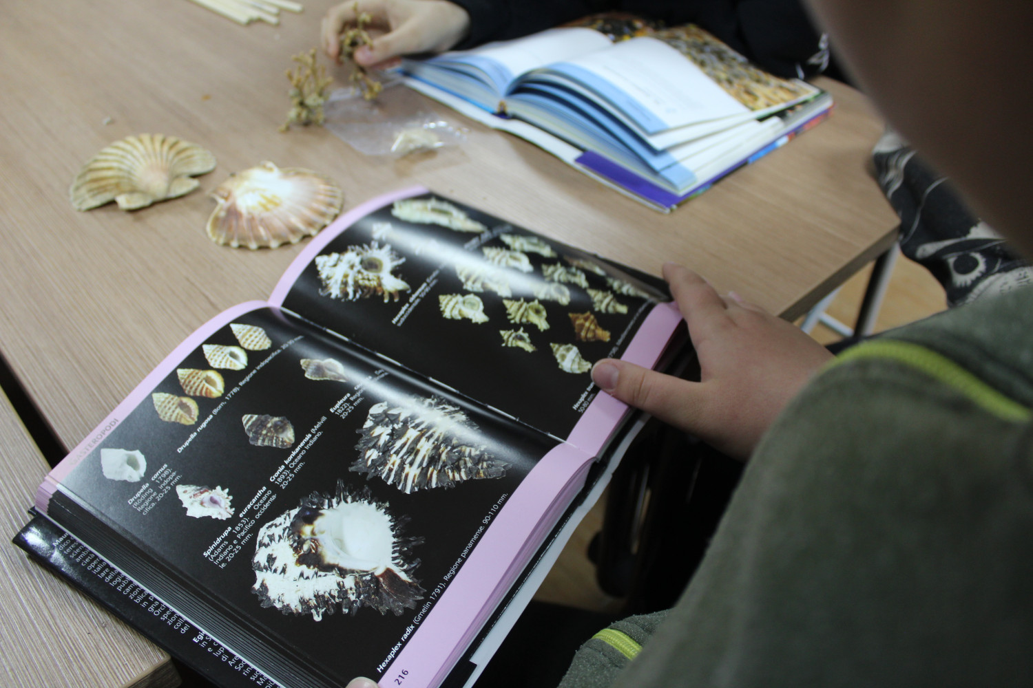 Univerzitet Crne Gore