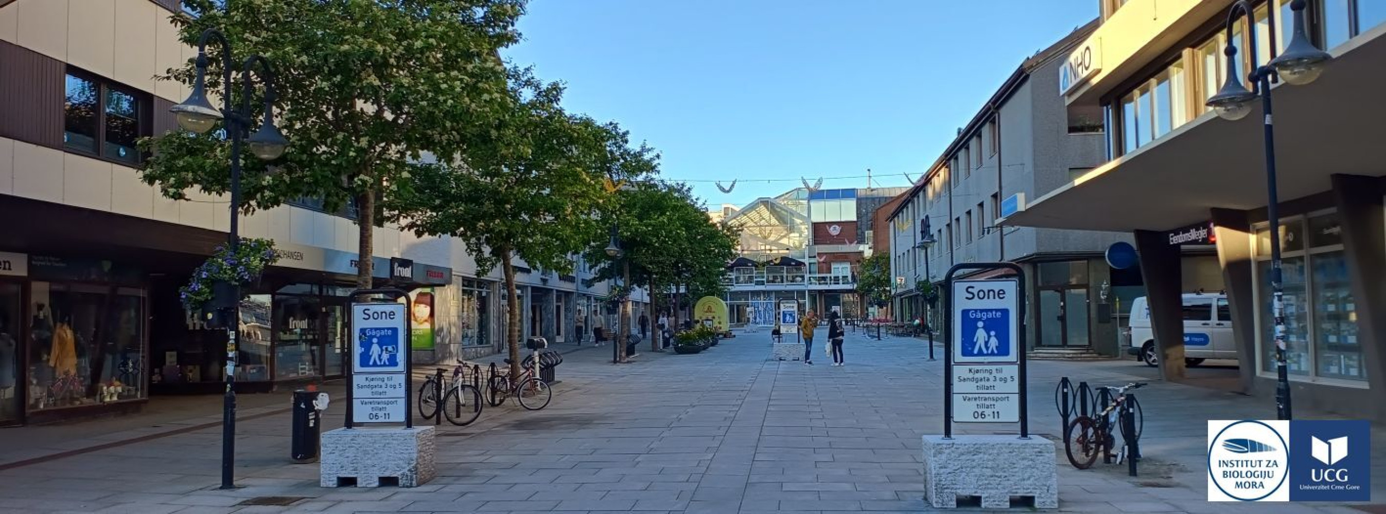 Univerzitet Crne Gore