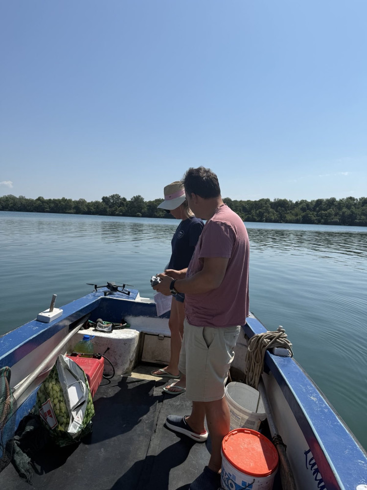 Univerzitet Crne Gore