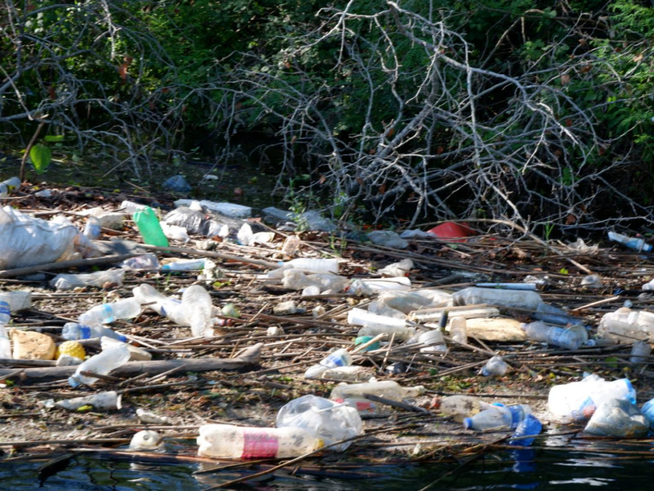 Univerzitet Crne Gore