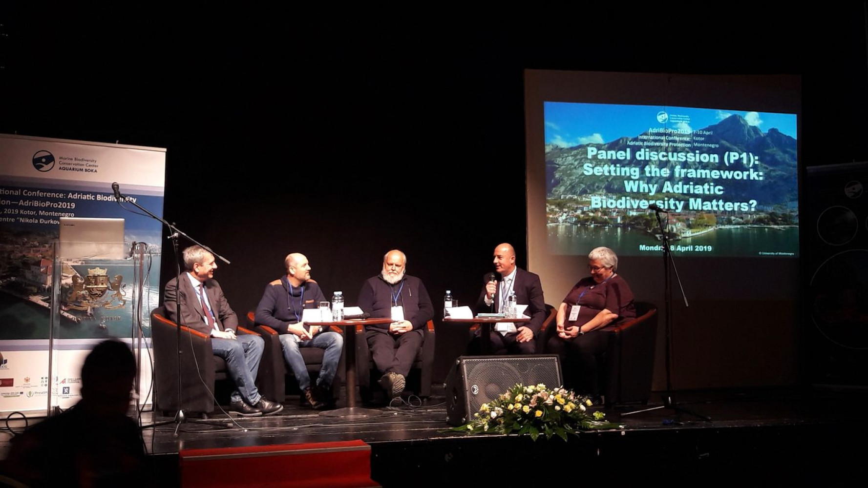 Univerzitet Crne Gore