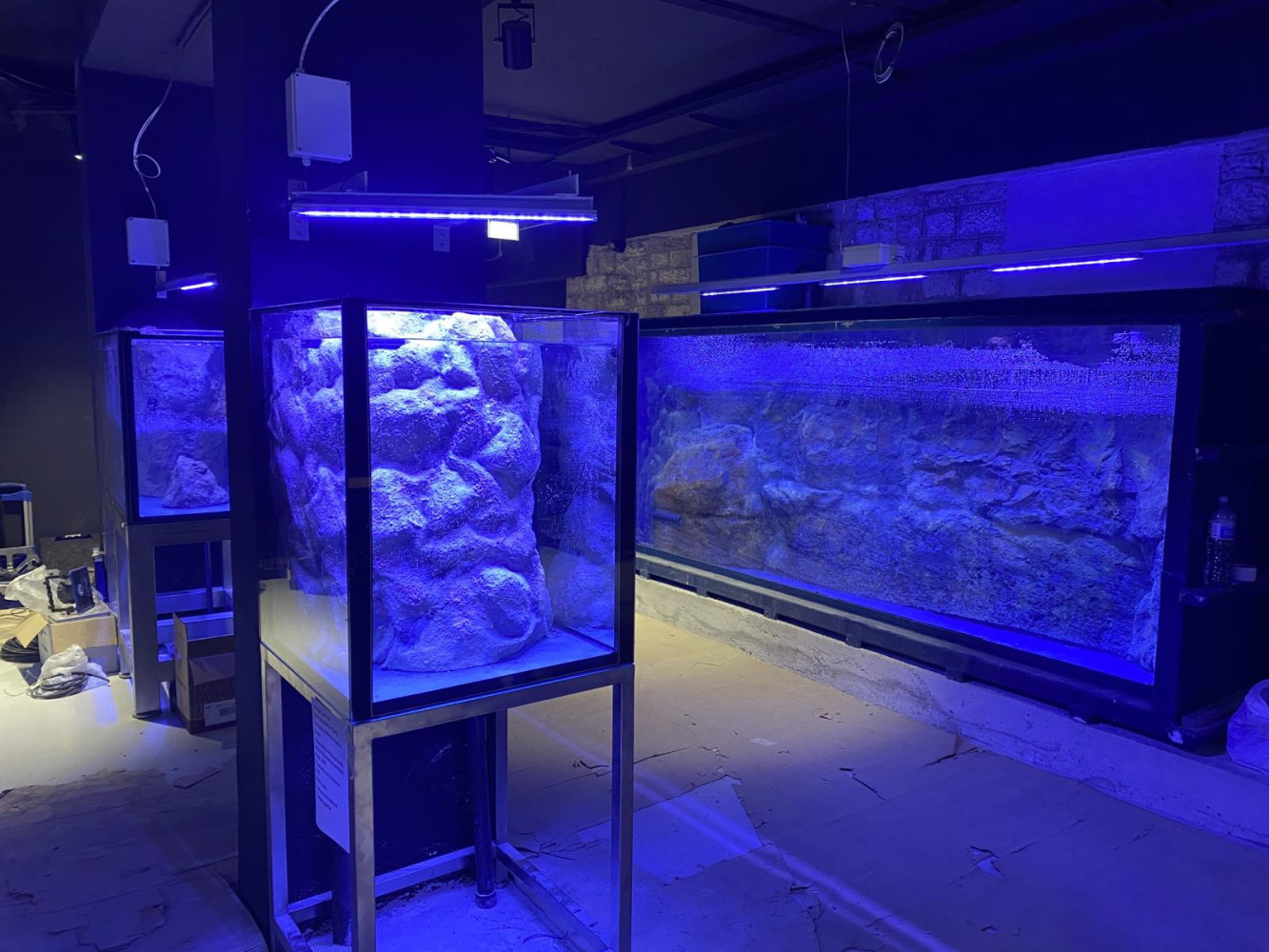 Univerzitet Crne Gore