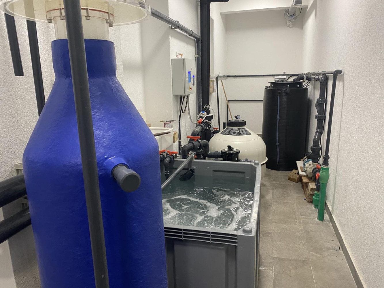 Univerzitet Crne Gore