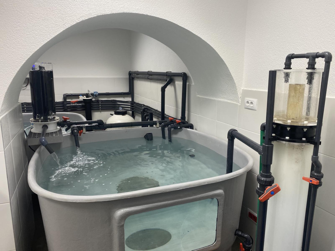 Univerzitet Crne Gore