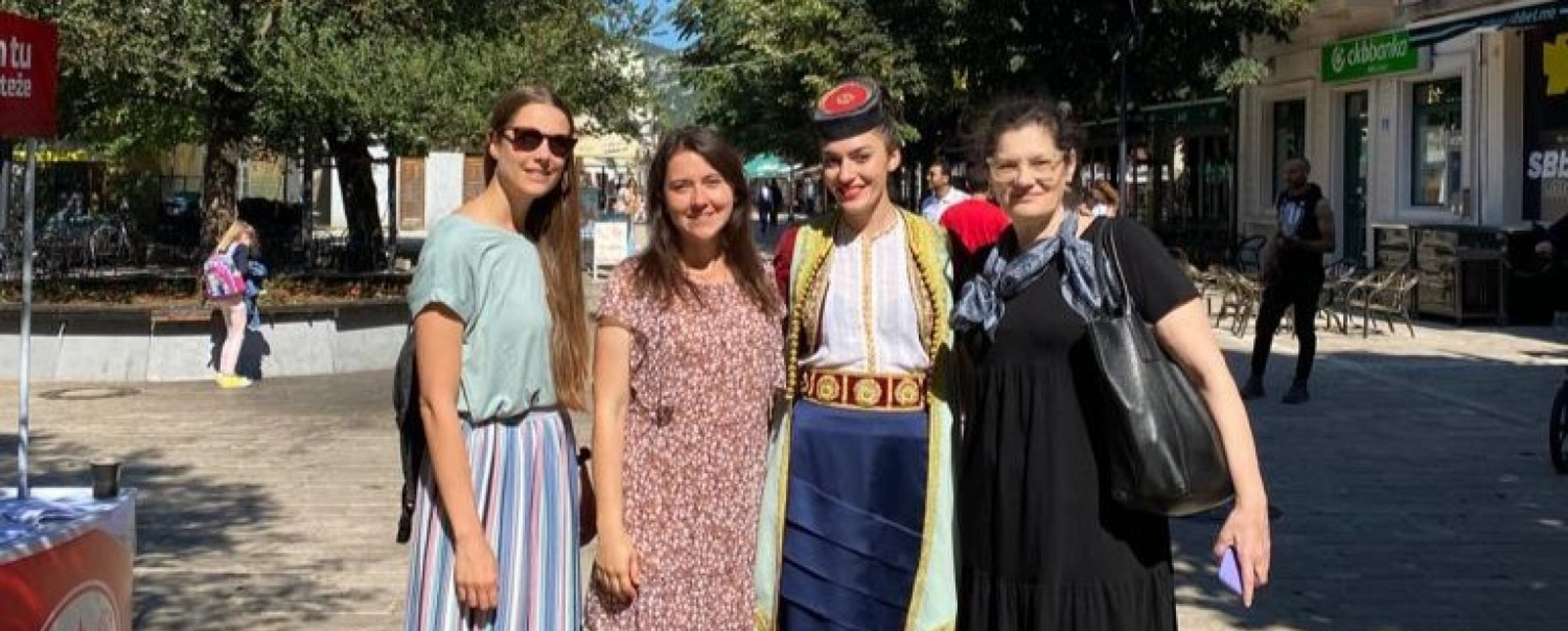 Univerzitet Crne Gore