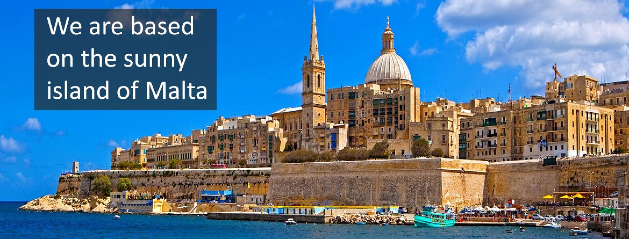 Univerzitet Crne Gore