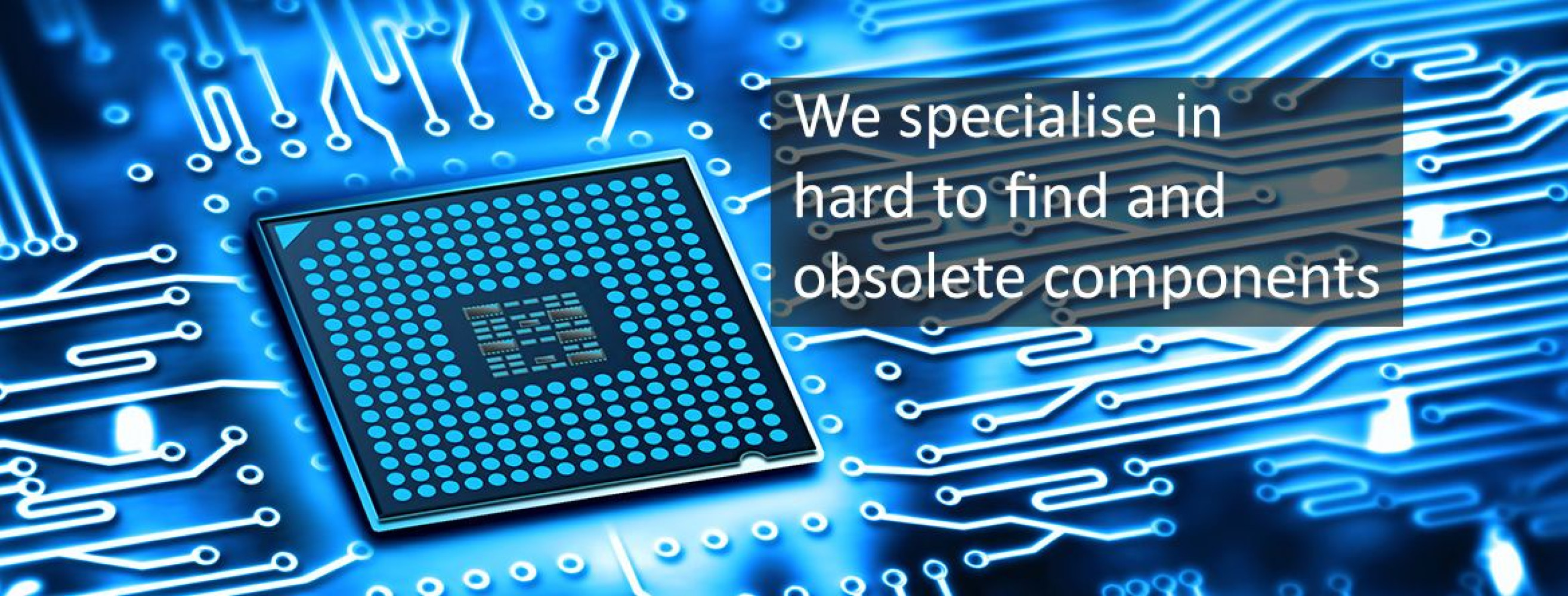 Univerzitet Crne Gore