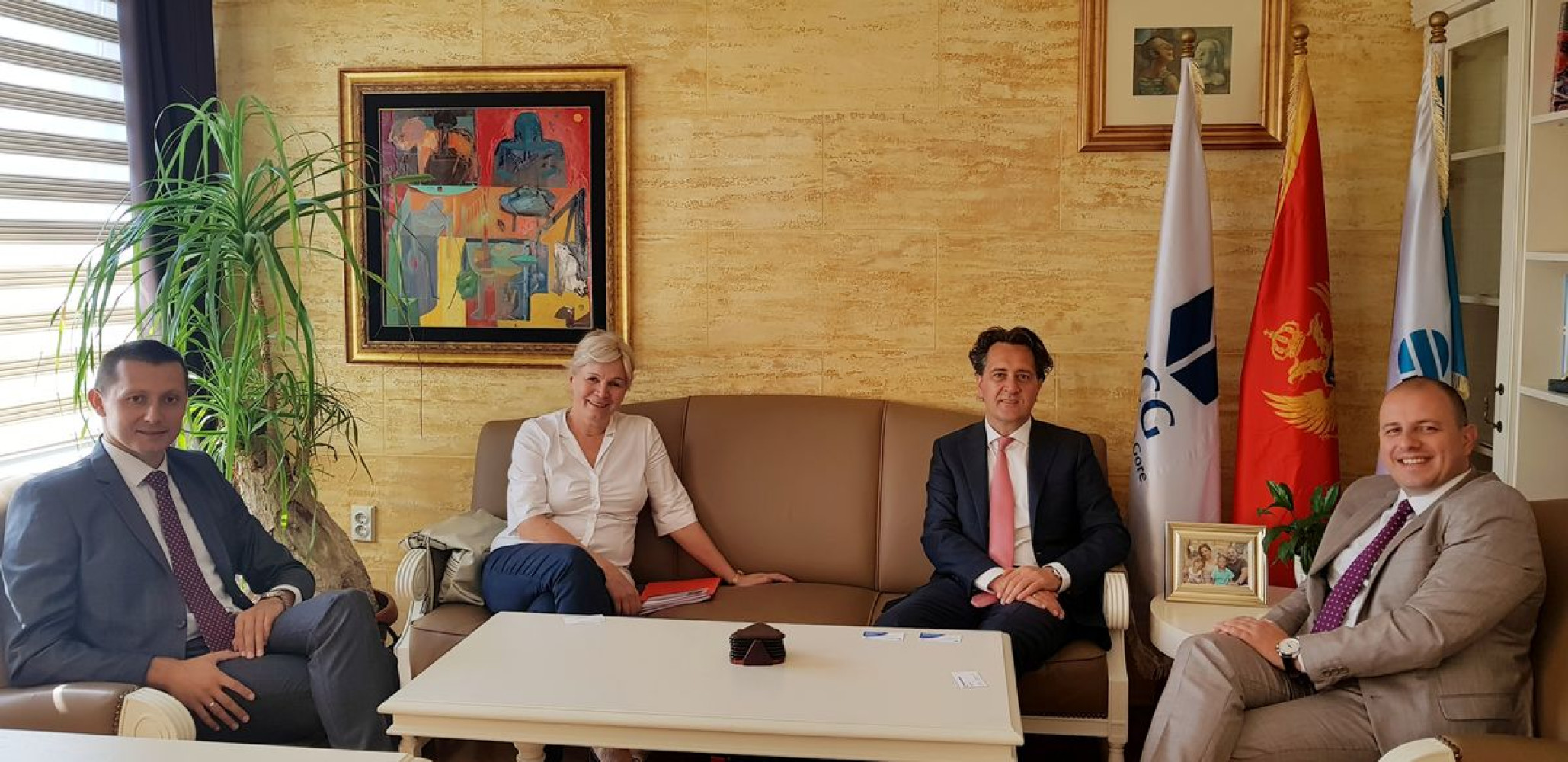 Univerzitet Crne Gore