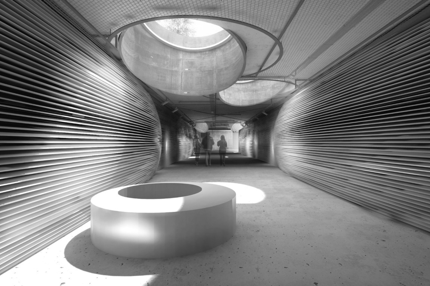 Univerzitet Crne Gore