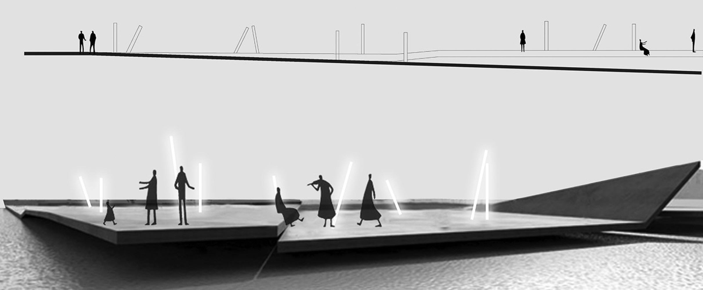 Univerzitet Crne Gore