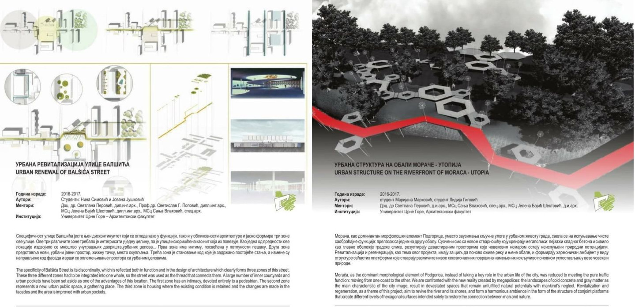 Univerzitet Crne Gore
