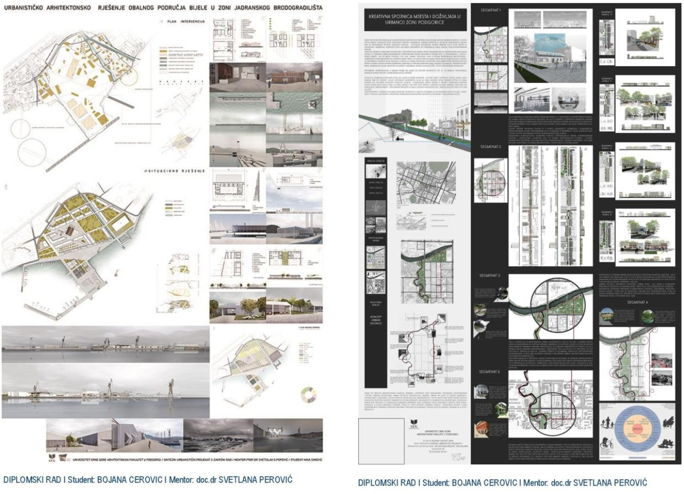 Univerzitet Crne Gore