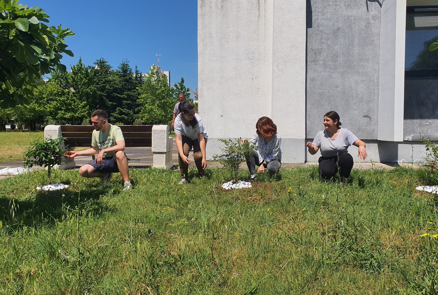 Univerzitet Crne Gore