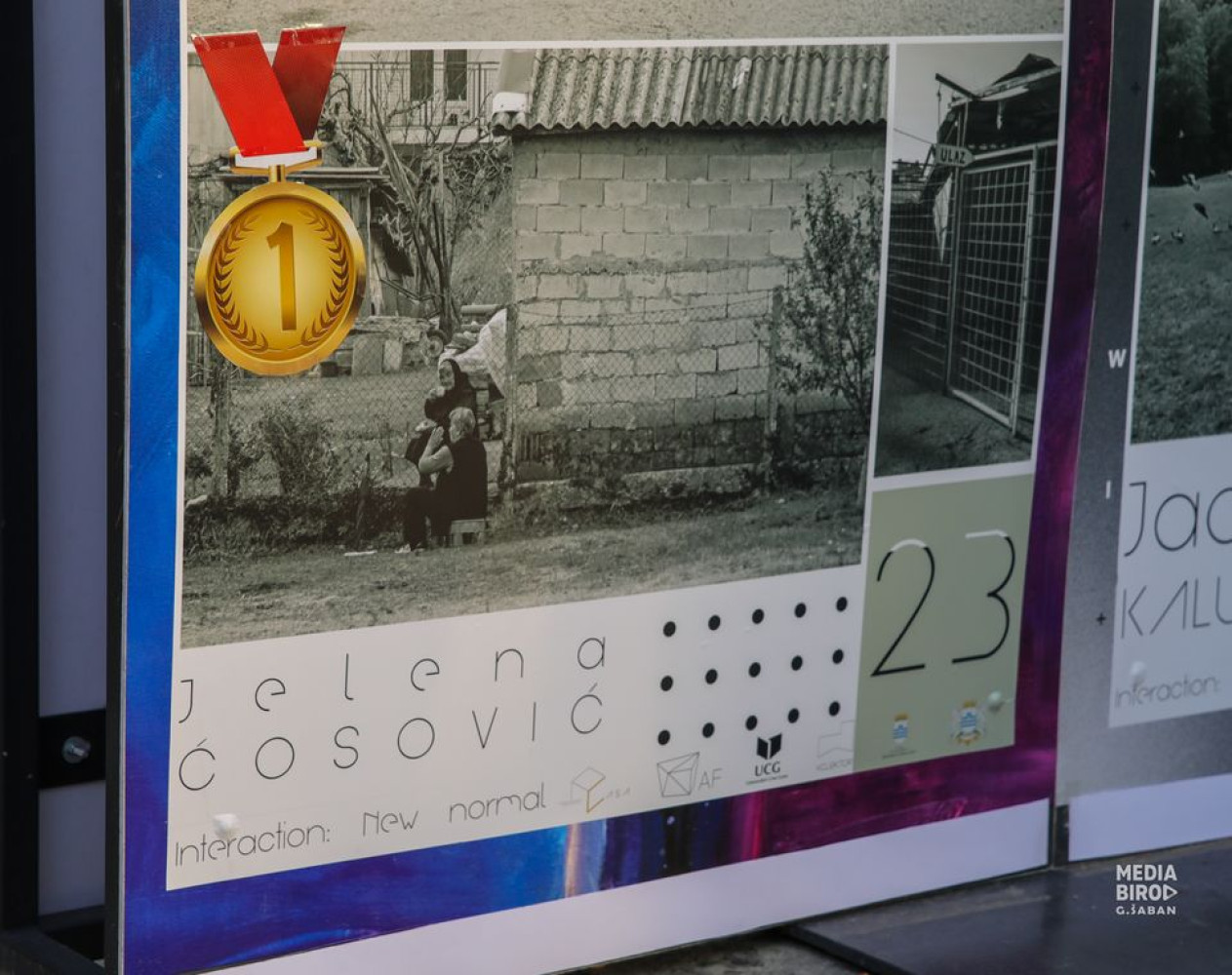 Univerzitet Crne Gore