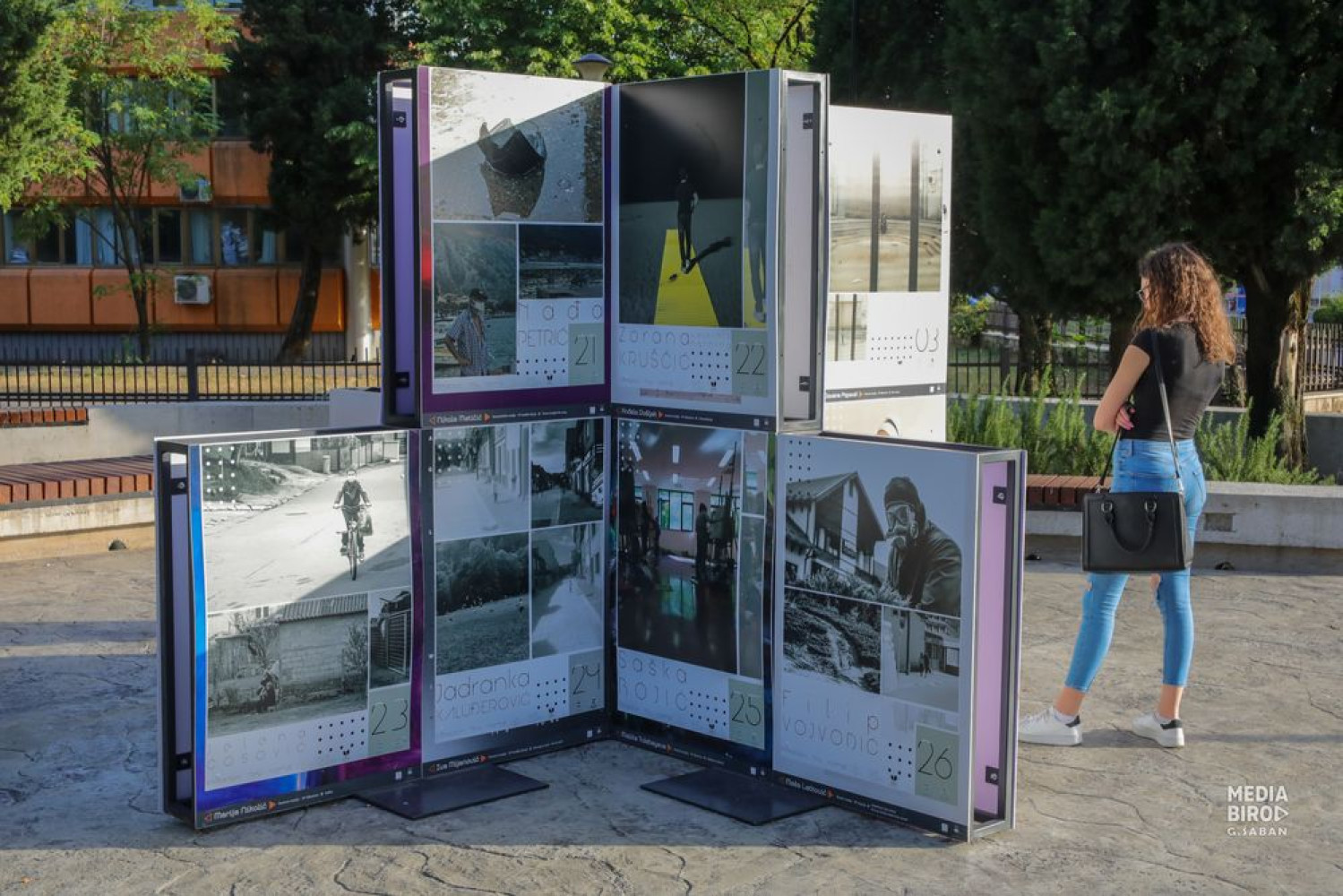 Univerzitet Crne Gore