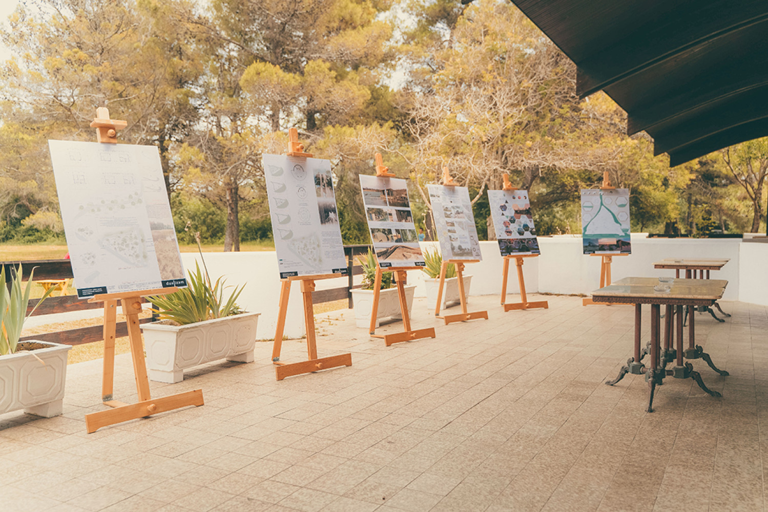 Univerzitet Crne Gore