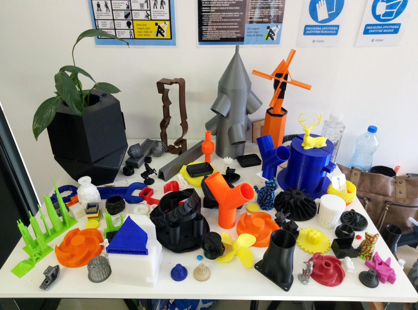 Univerzitet Crne Gore