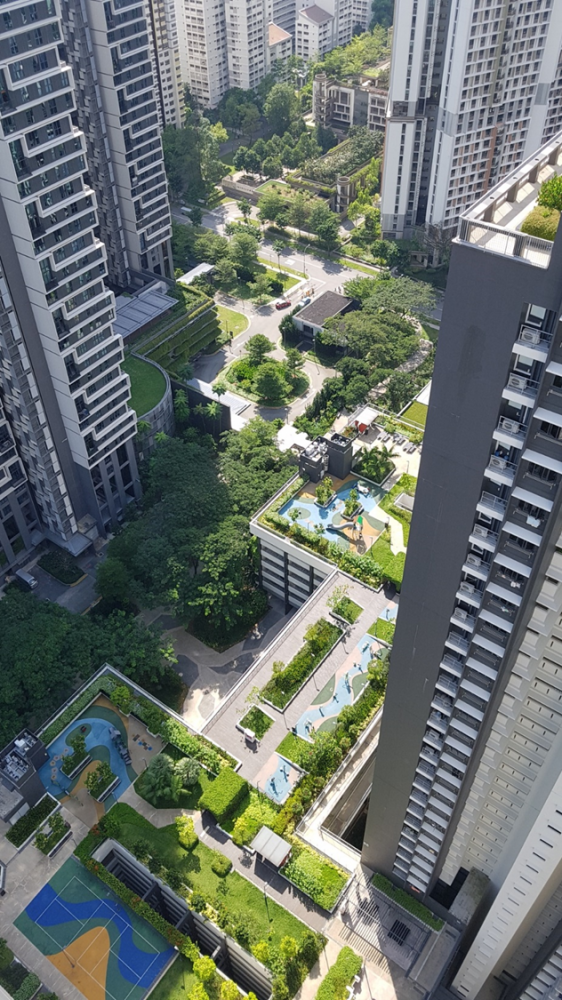 Univerzitet Crne Gore