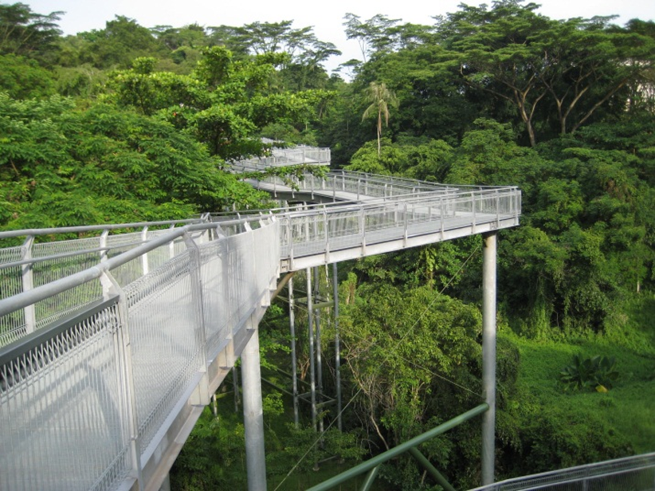 Univerzitet Crne Gore