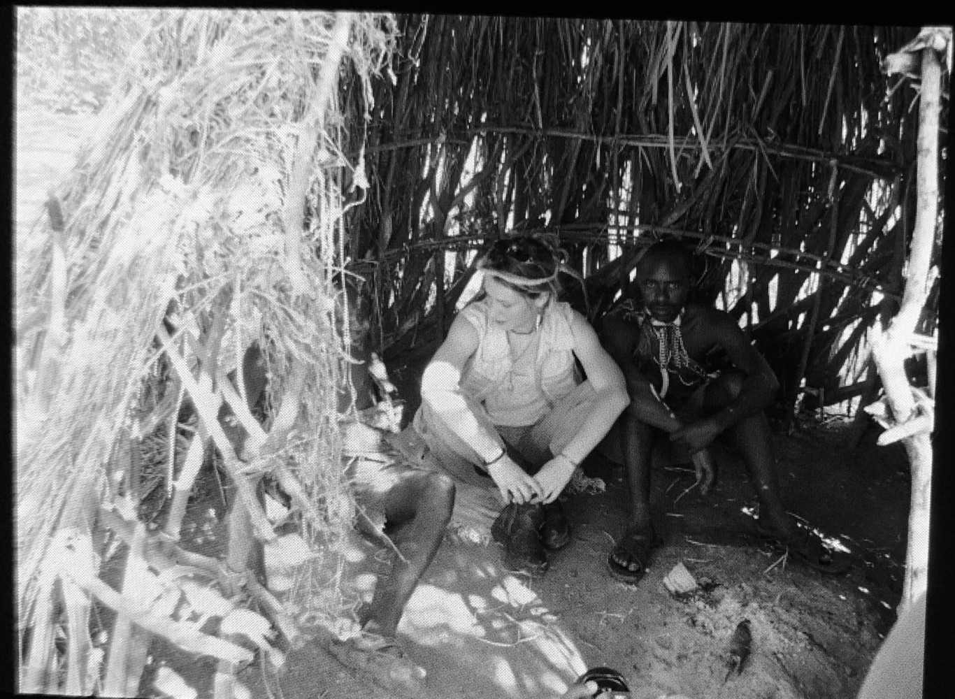 Univerzitet Crne Gore