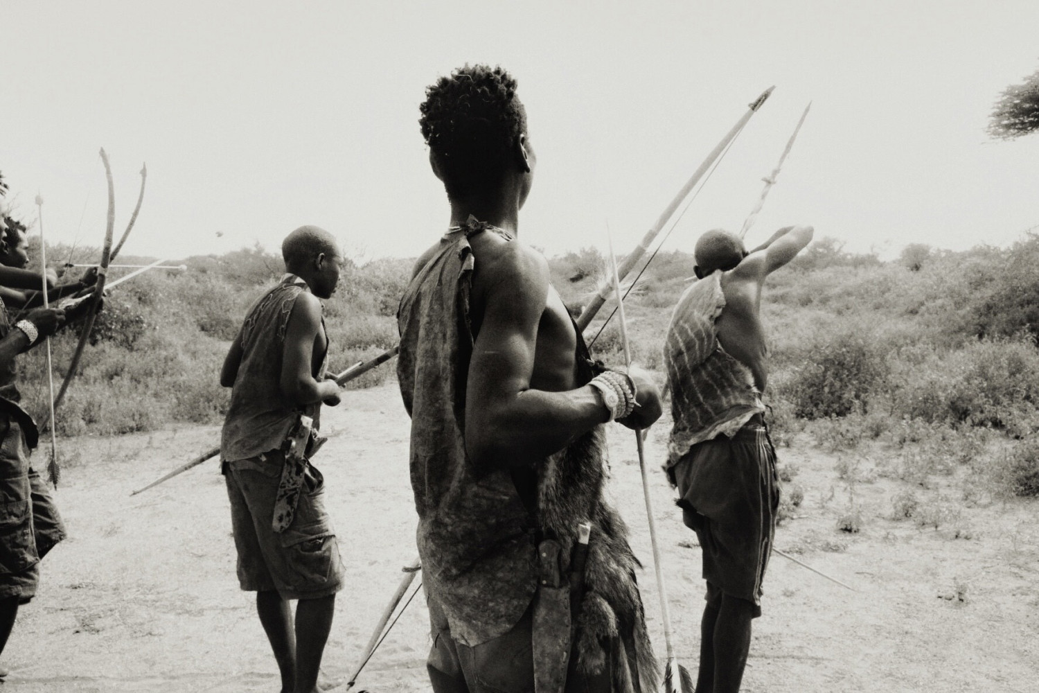 Univerzitet Crne Gore