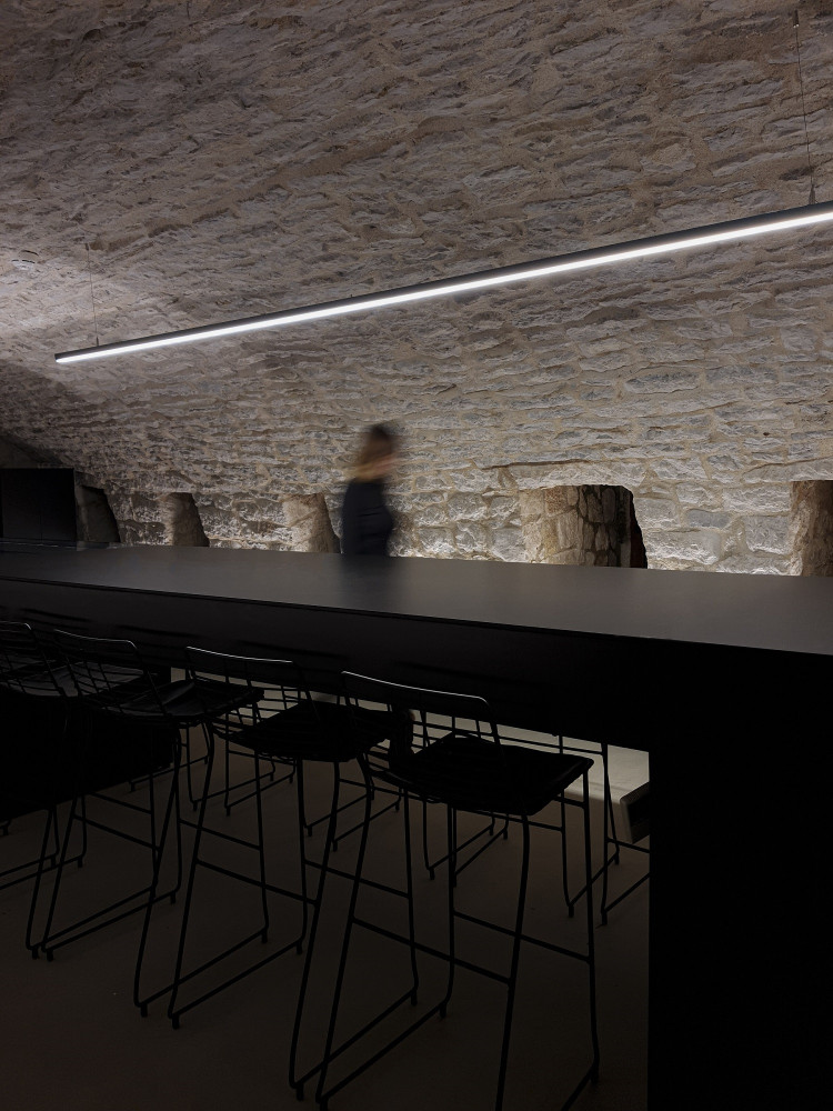 Univerzitet Crne Gore