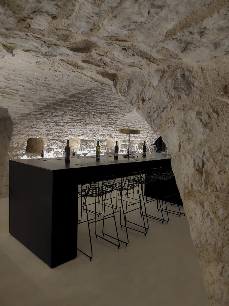 Univerzitet Crne Gore