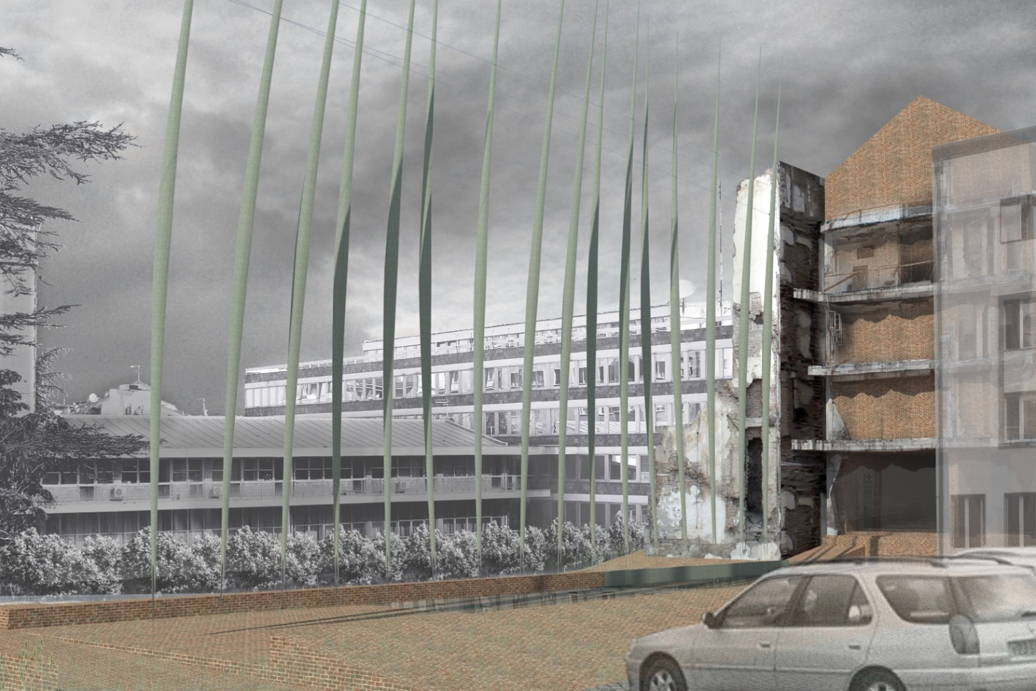 Univerzitet Crne Gore