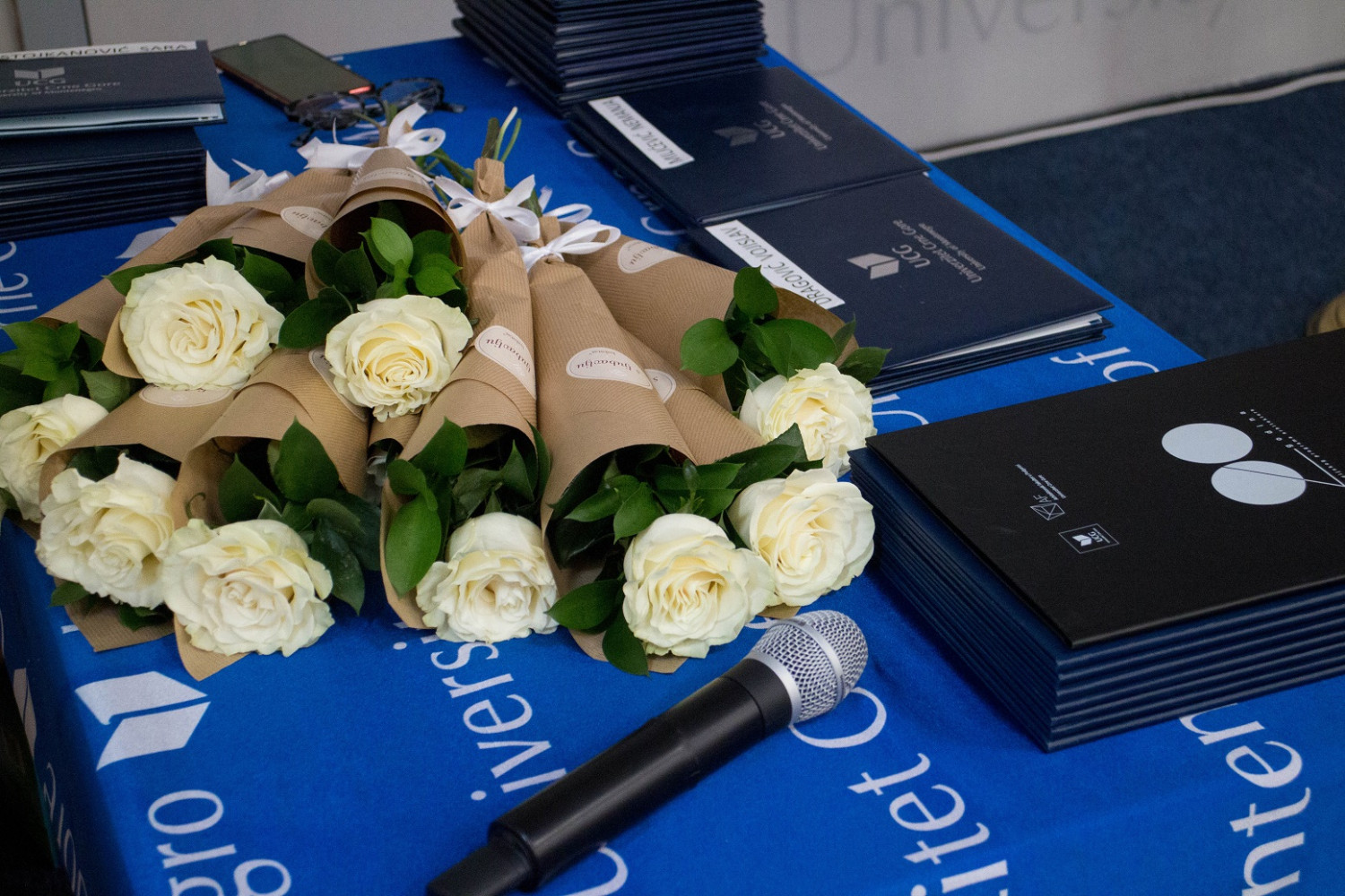 Univerzitet Crne Gore