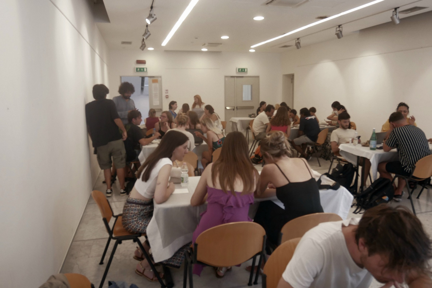 Univerzitet Crne Gore