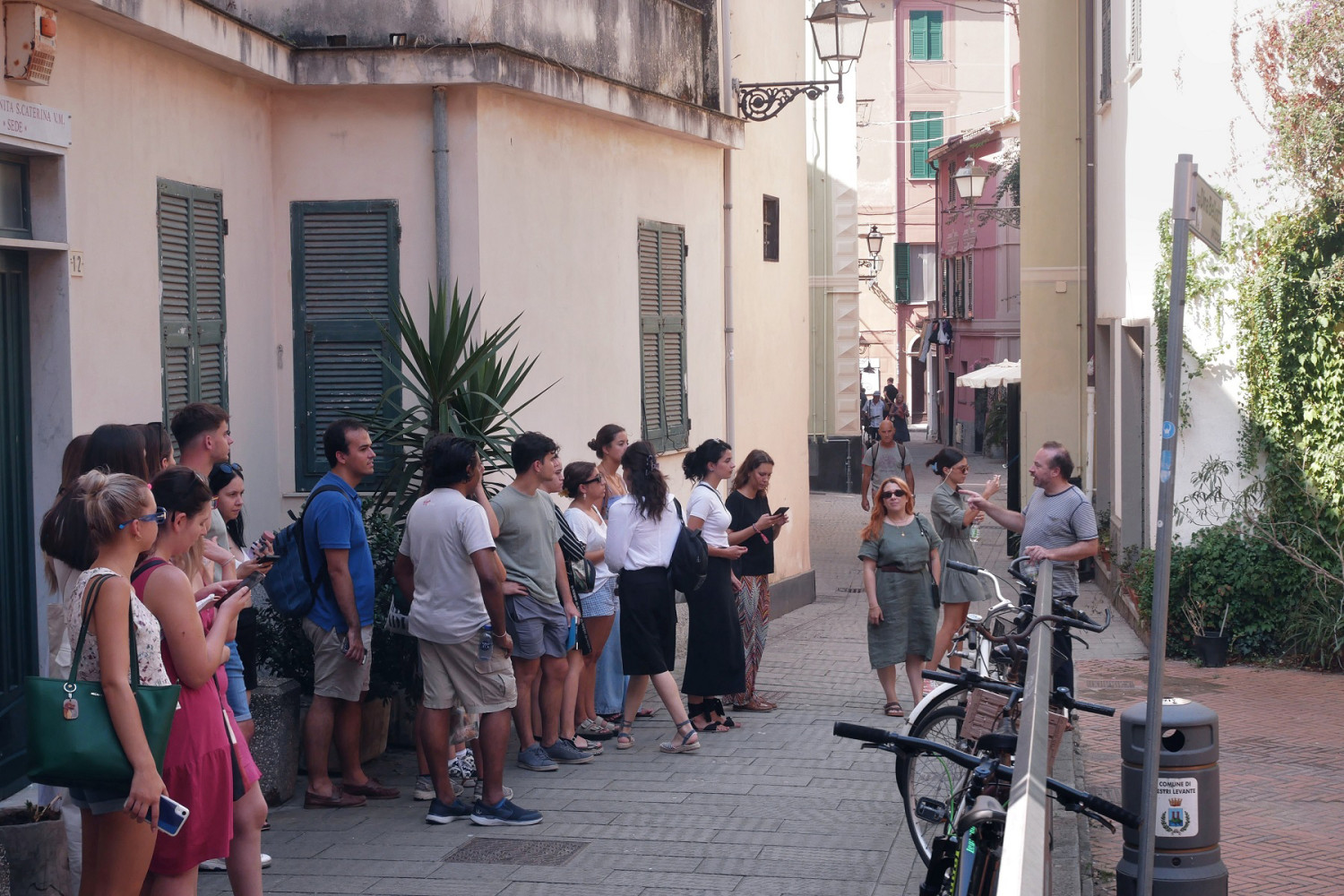 Univerzitet Crne Gore