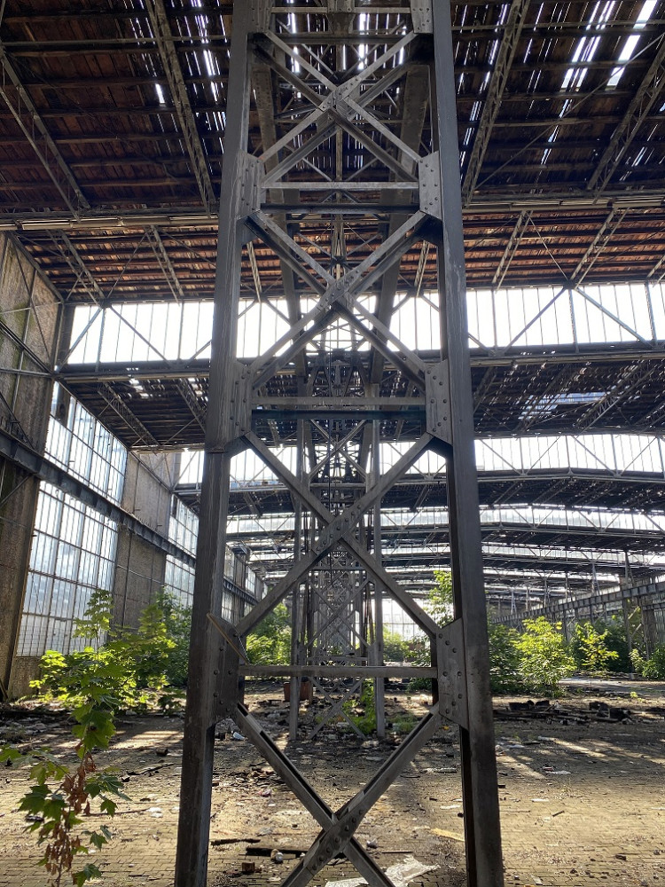 Univerzitet Crne Gore