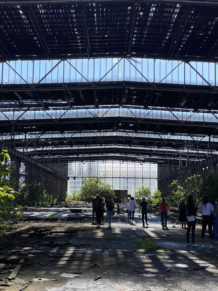 Univerzitet Crne Gore