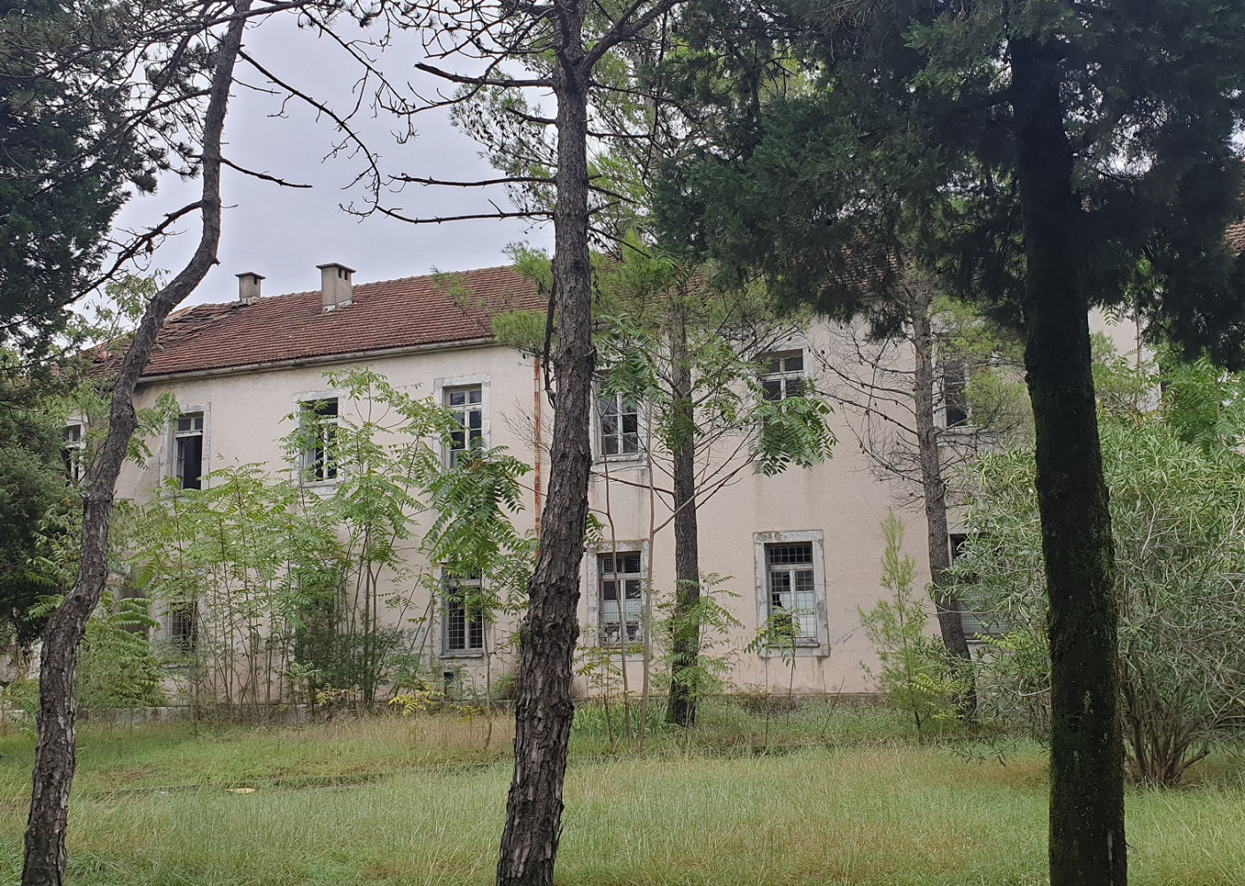 Univerzitet Crne Gore