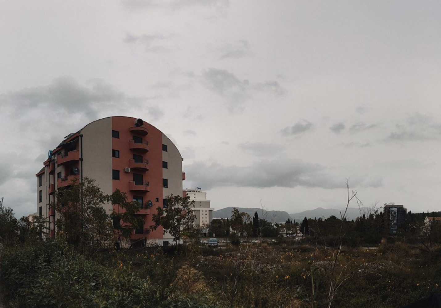 Univerzitet Crne Gore