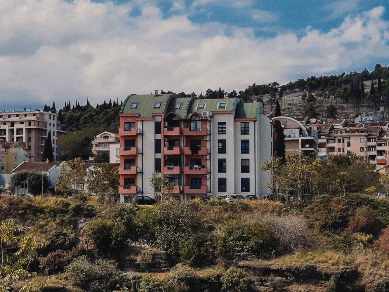 Univerzitet Crne Gore