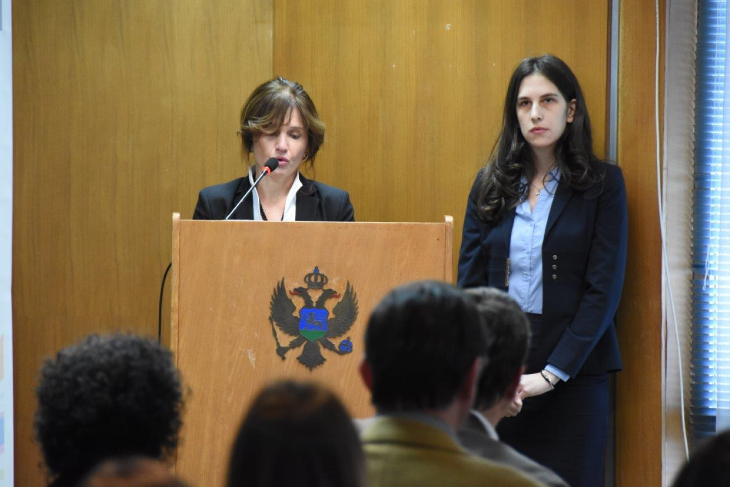 Univerzitet Crne Gore